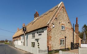 The Ingham Swan